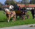 /album/foto1/dsc-0135-31-jpg/